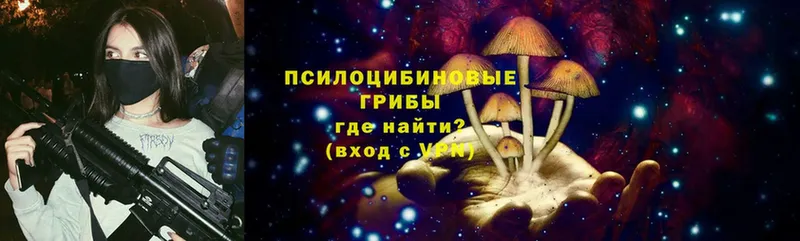 Псилоцибиновые грибы прущие грибы  Малая Вишера 